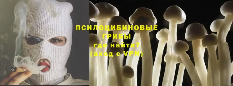 Псилоцибиновые грибы MAGIC MUSHROOMS  цена   Белый 